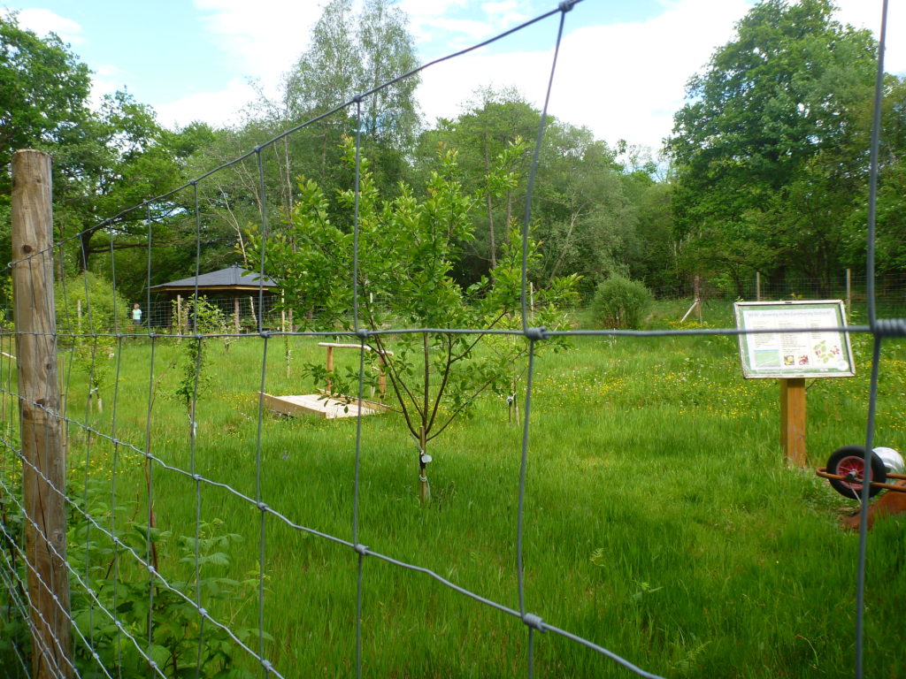 Glenorchy and Innishail Community Orchard and Woodland Garden