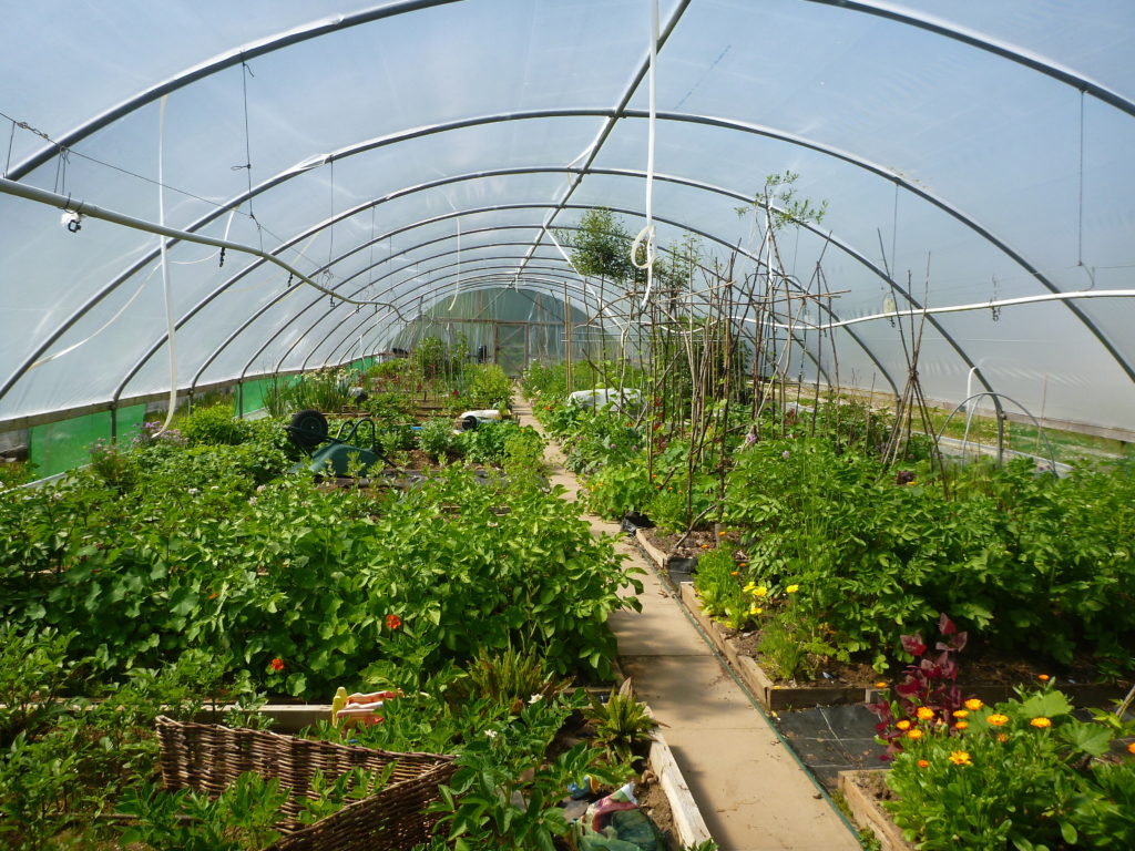Lorn Organic Growers After b June 2016
